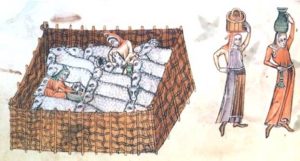 Wool in Norfolk-Roger Arguile-May 2024